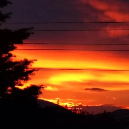Arcychata Zakopane Zewnętrze zdjęcie