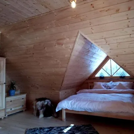 Arcychata Zakopane Zewnętrze zdjęcie