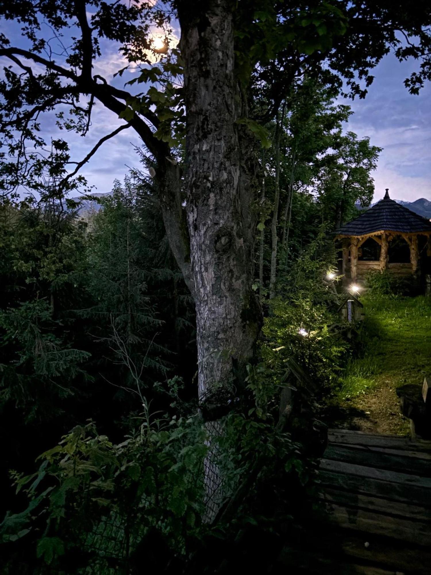Chalet Arcychata *