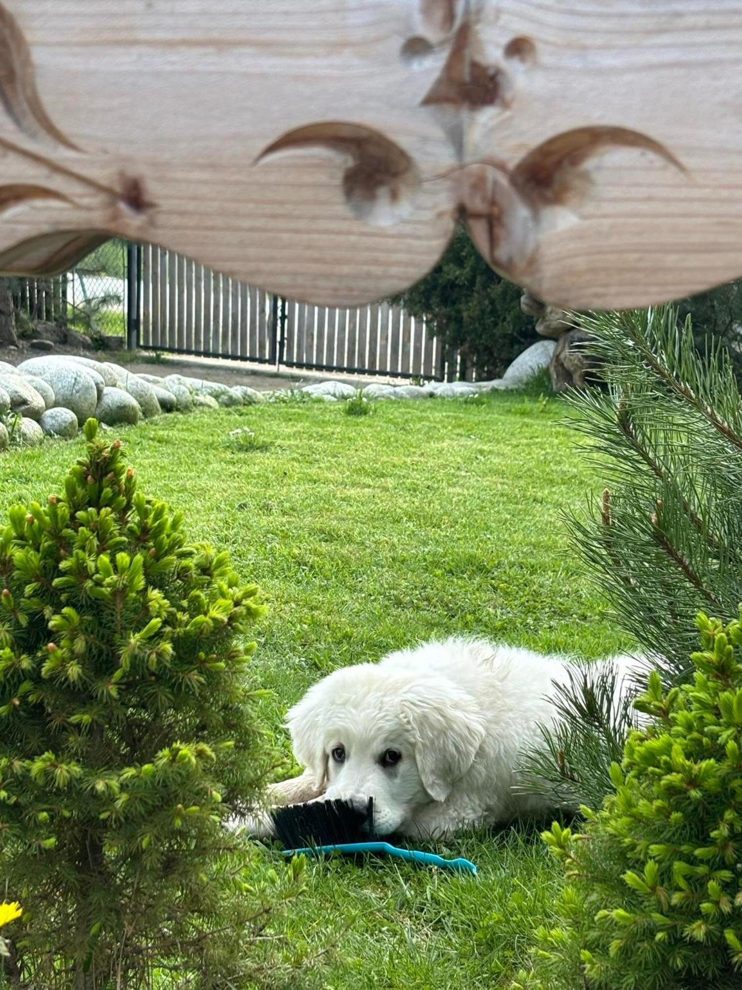 Arcychata Chalet
